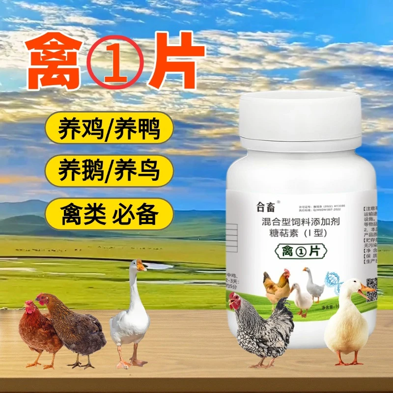 合畜【禽一片】鸡鸭鹅鸽子鹌鹑禽类养殖通用饲料添加剂四季养殖专用
