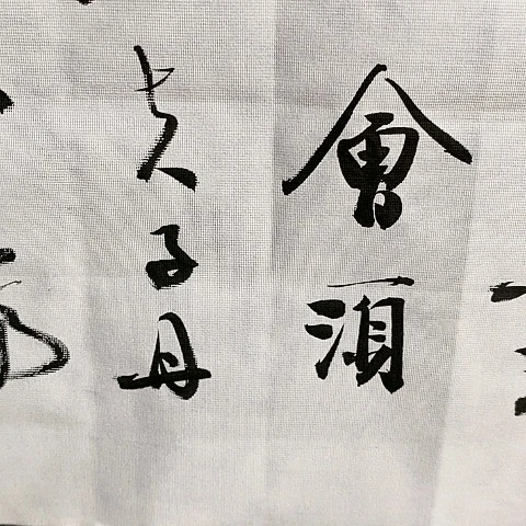 【闪购商品】国画4****8四尺对开将进酒作品欣赏