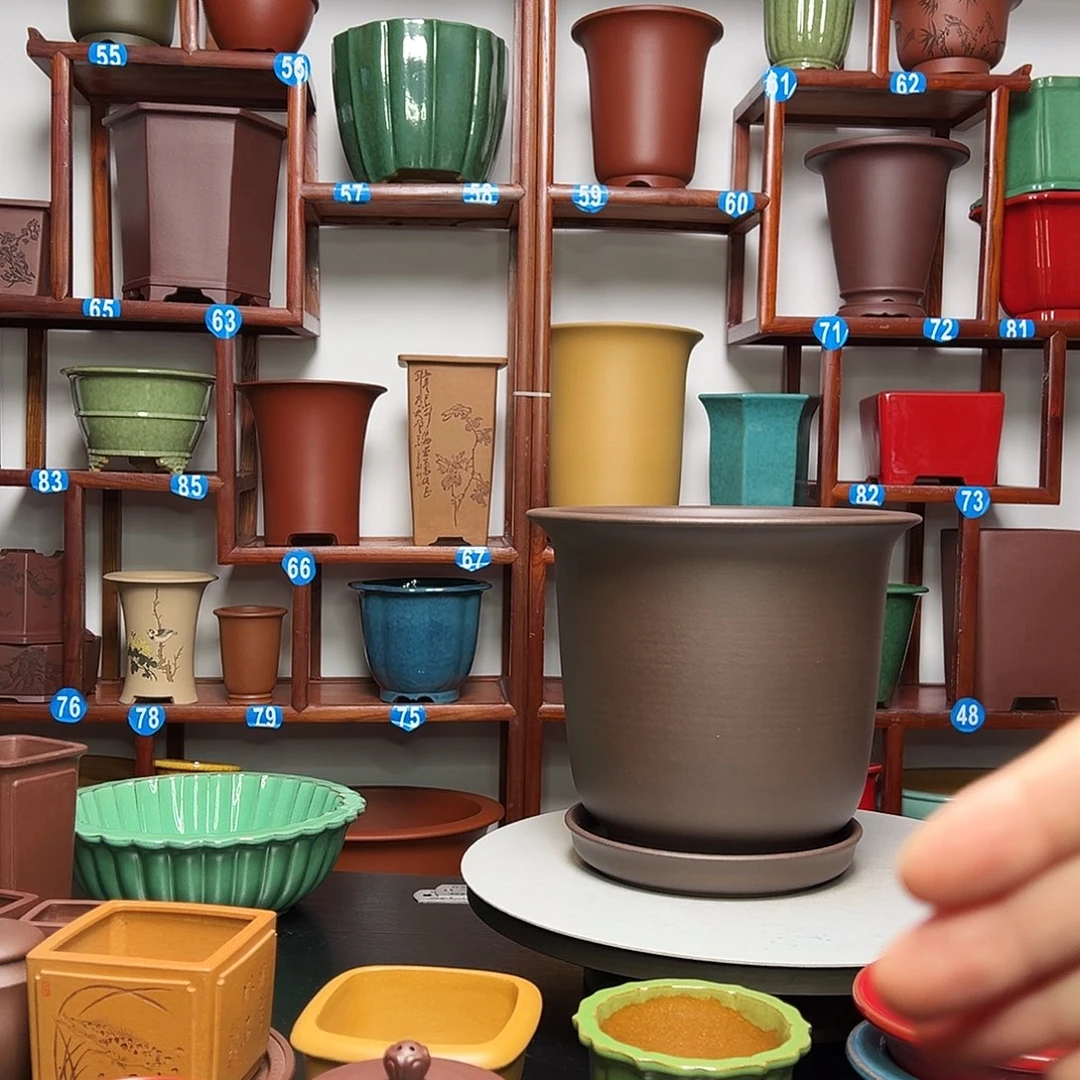 紫砂花盆将*娘金钟花盆