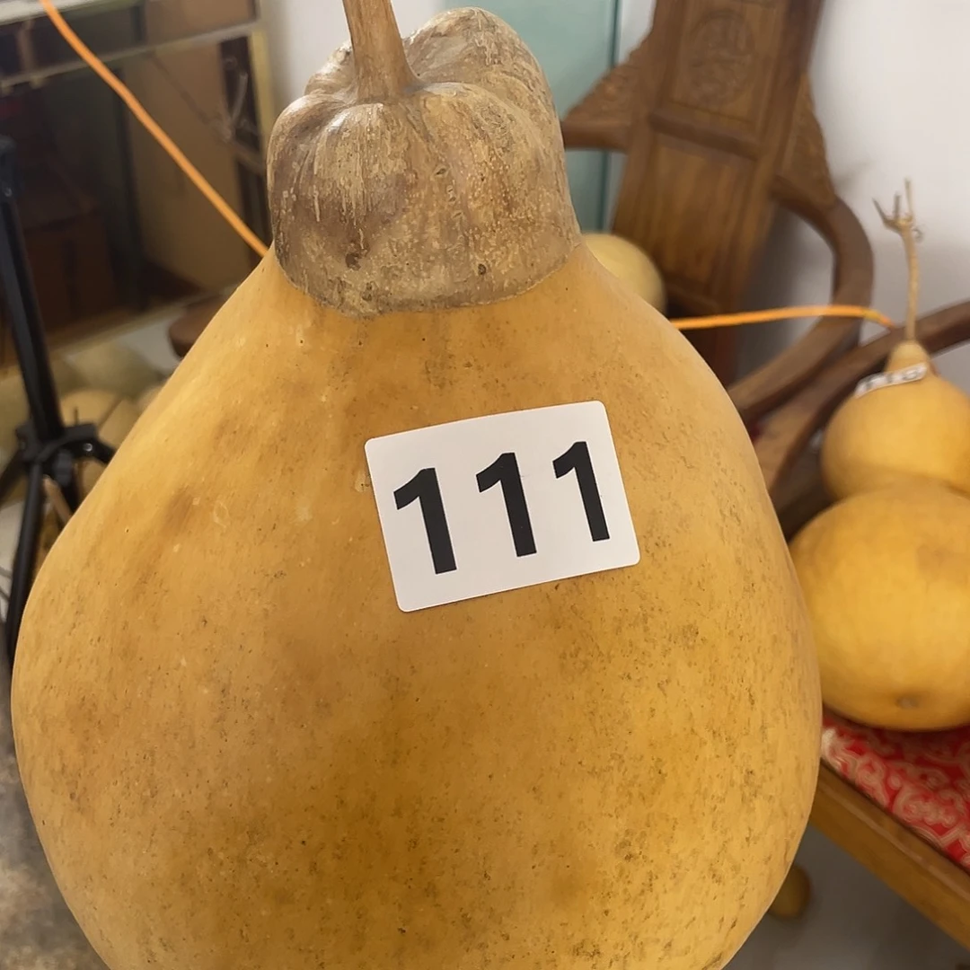 木59……6666666666666666666