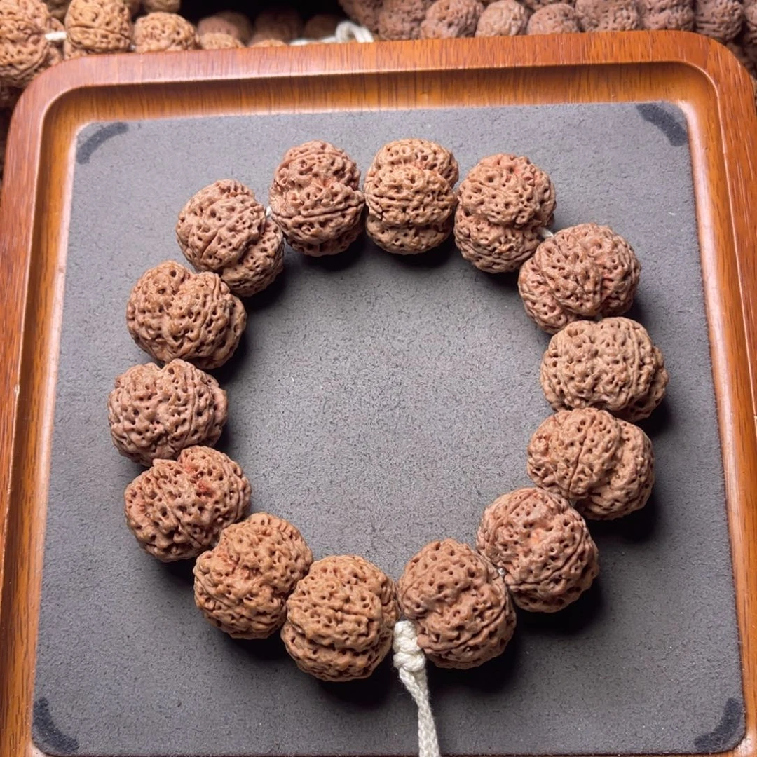 菩提籽类17号金刚菩提满肉梅花26