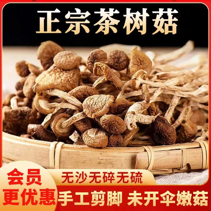 特级剪脚茶树菇 古田特产无熏硫 新货菌香浓郁 火锅煲汤必备农家
