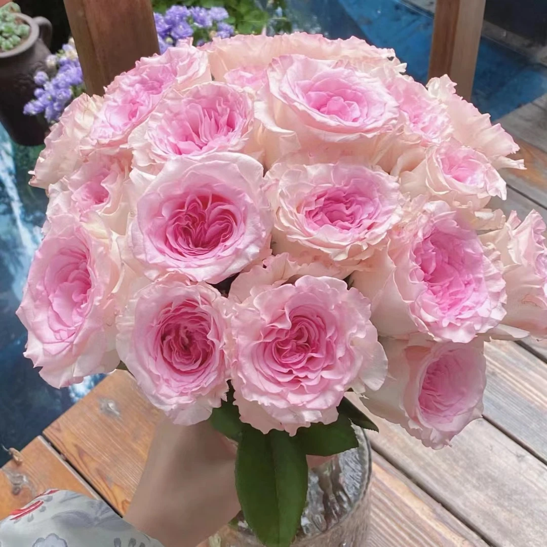 【组合套餐：洛神+香水百合+洋桔梗+向日葵】云南鲜花基地直发