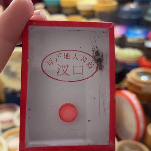 蔣***蟋蟀啊哈哈哈哈啊哈哈哈