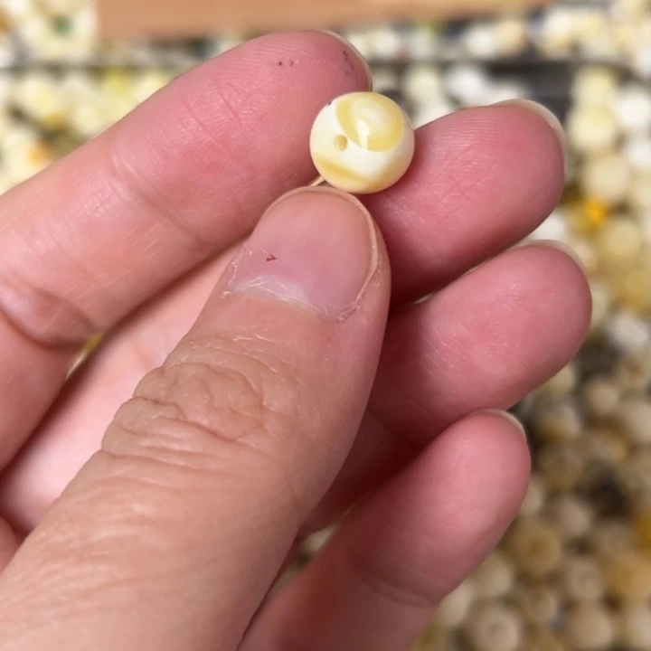 蜜蜡未镶嵌裸石9mm一个