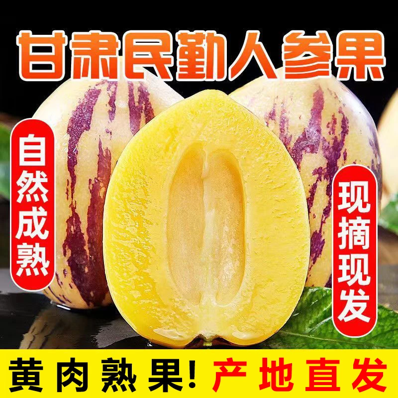 甘肃民勤沙漠人参果树上熟黄果3/8斤新鲜低糖水果，坏果包赔