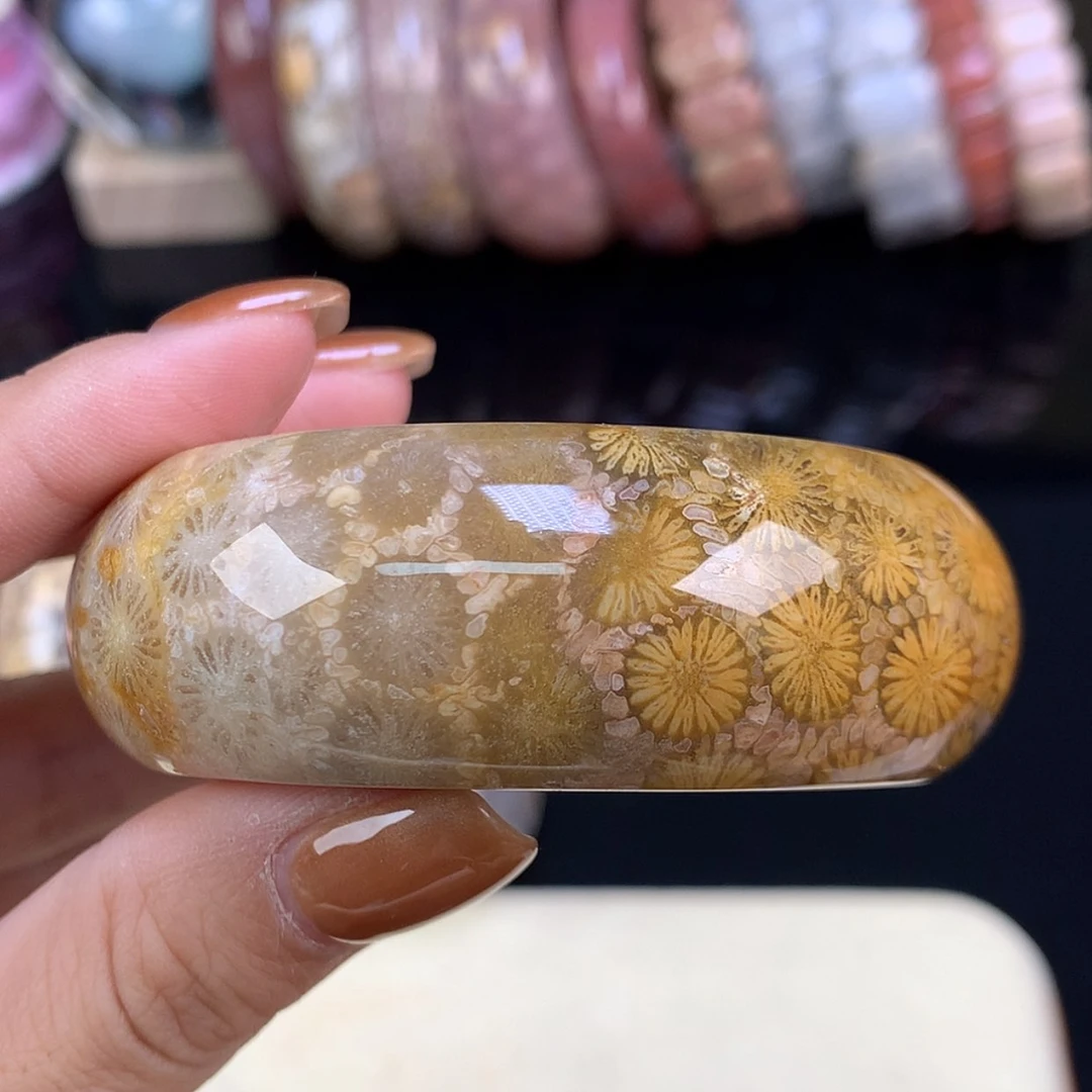 【闪购商品】颈饰未镶嵌硅化珊瑚（珊瑚玉）镯饼可做56以下圈（15号）