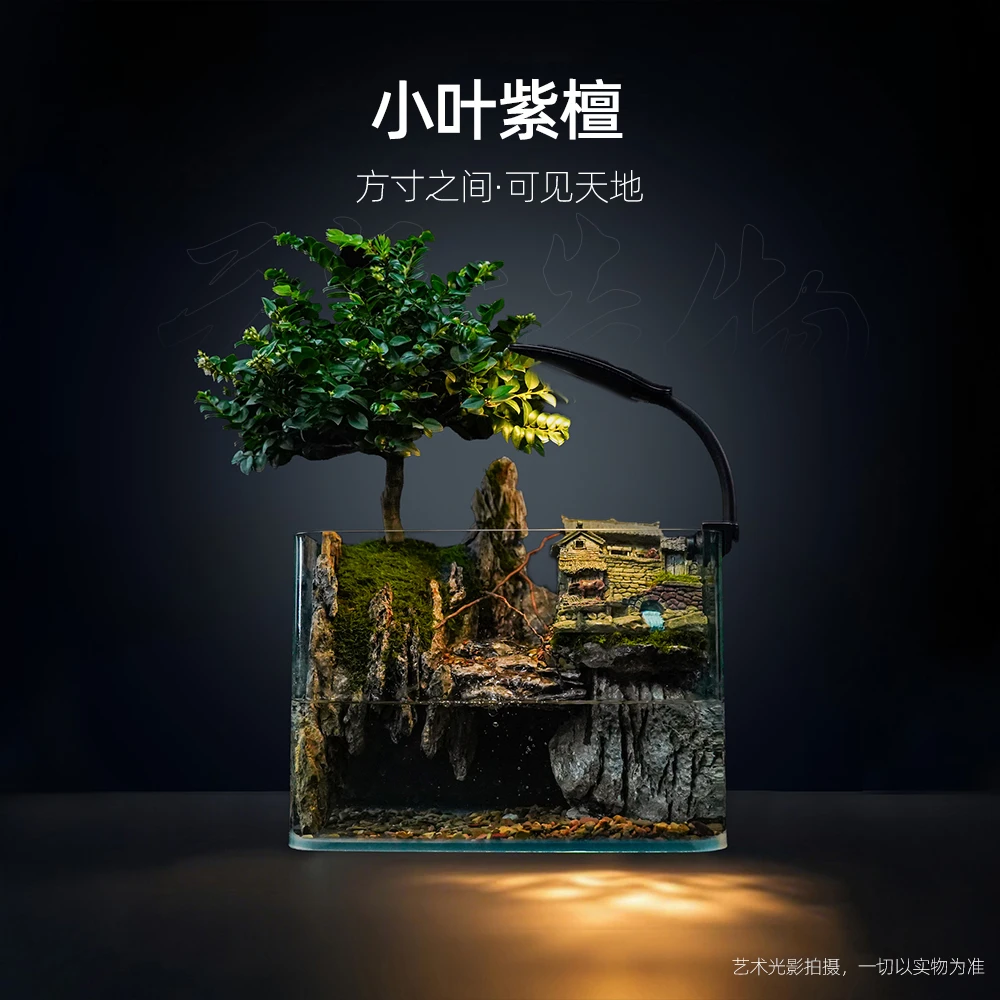 【雾隐】山野人间2.0—小叶紫檀桌面山水造景【缸体尺寸：25*16*18】