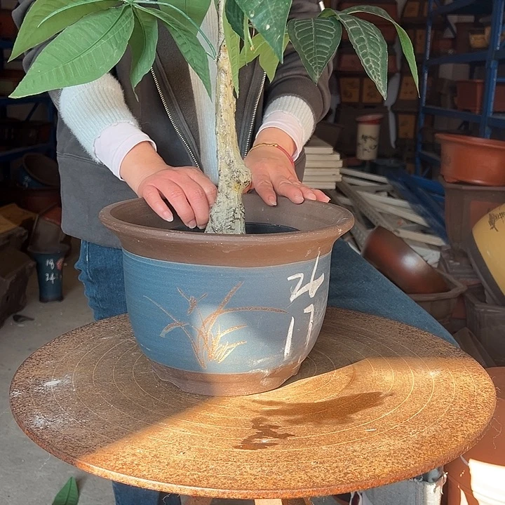 26蓝平角花盆花盆花盆花盆