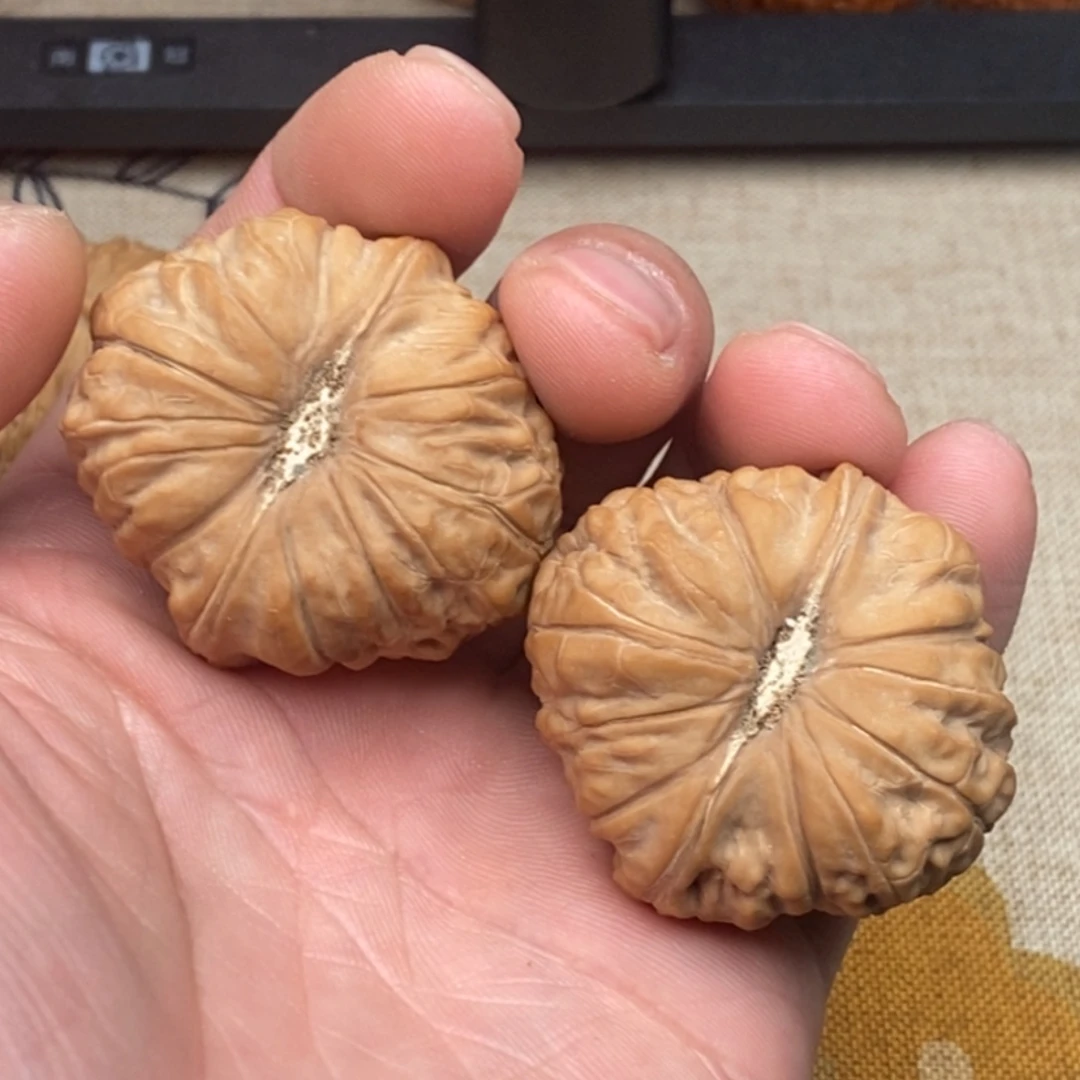 ༺***༻文玩核桃把件1234668