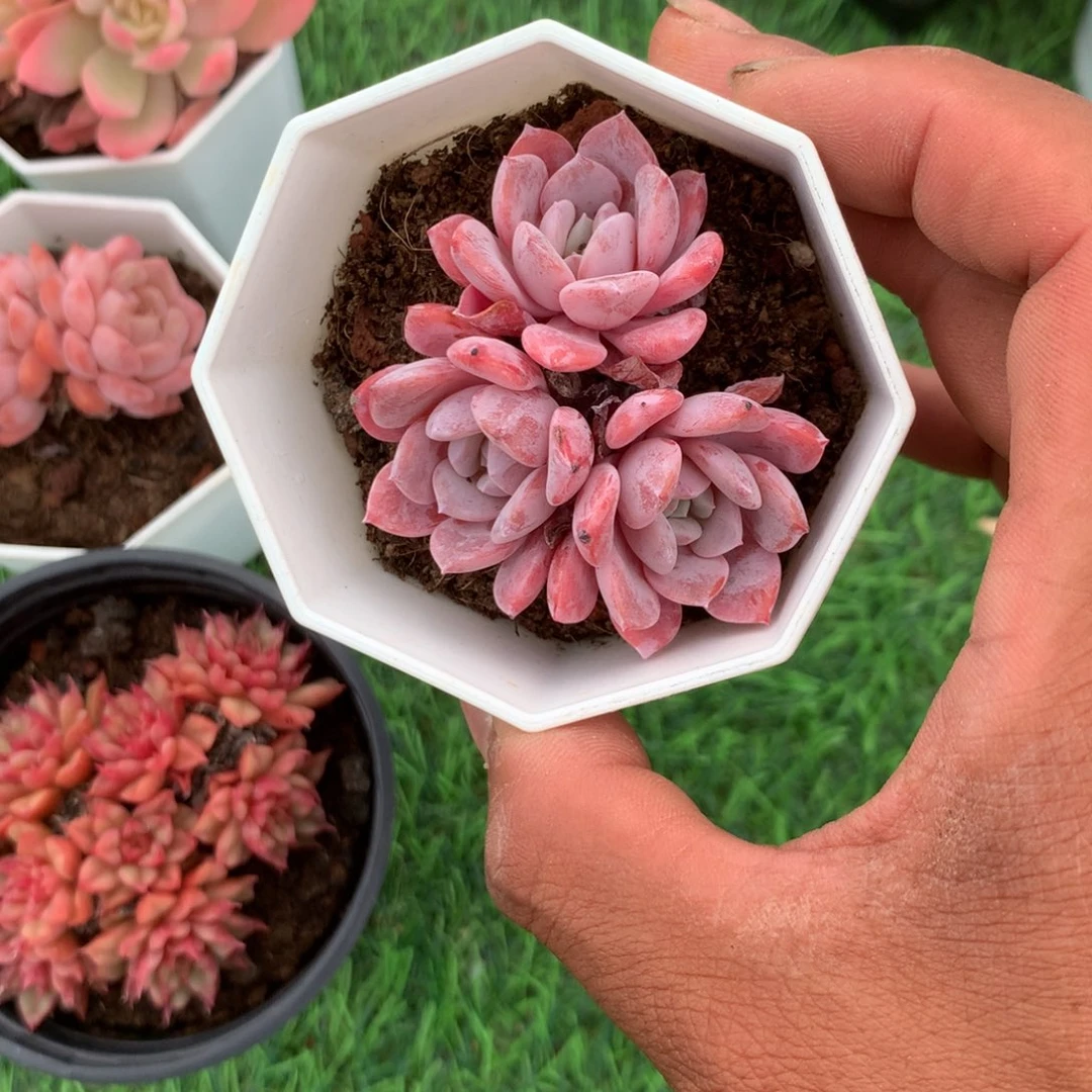 那就是说要有好朋友