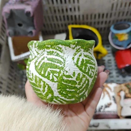 当场凑满15发货，不凑不发，花盆盆口不方不圆有针孔黑点矿点是正常