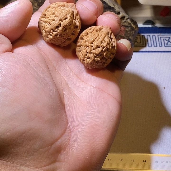 全品没修小管帽一对