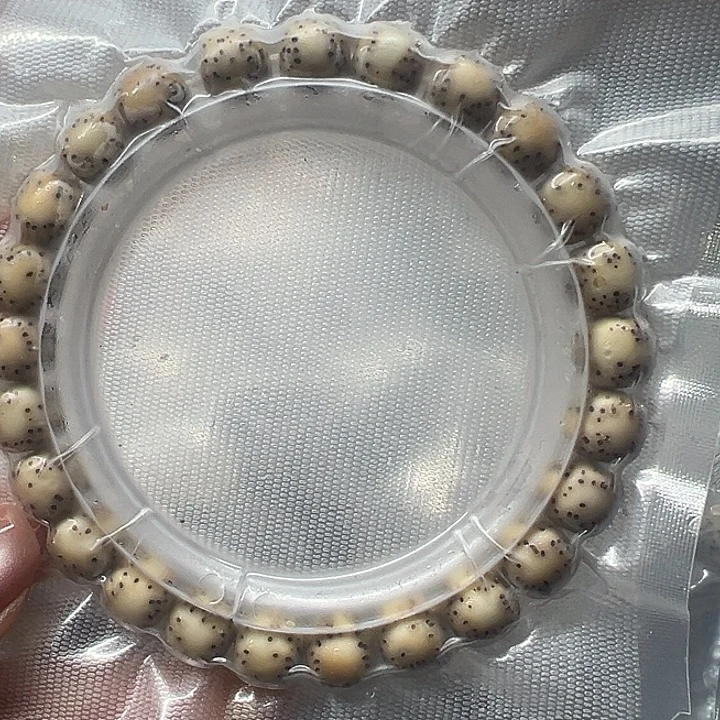 星月菩提吊坠海南原生态8/9