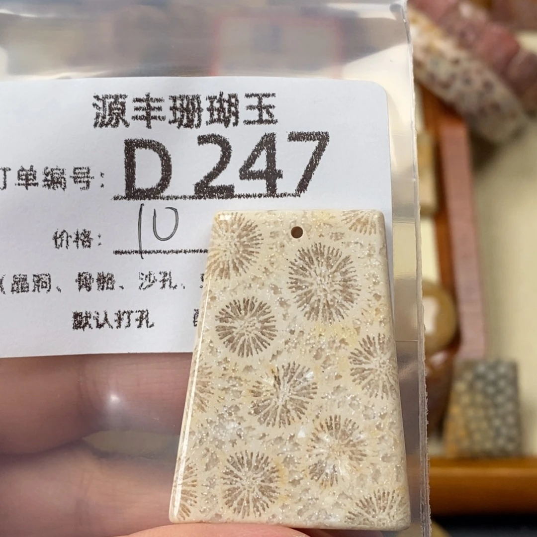 两****硅化玉未镶嵌颈饰