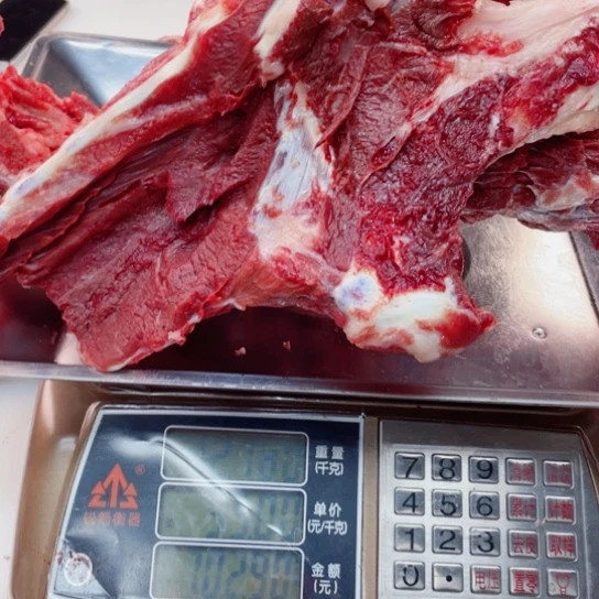 【闪购商品】冷冻保存30天包装河北省C*