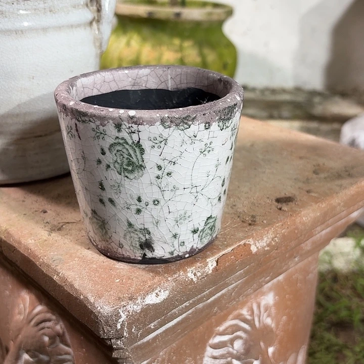 许纯的花房 孤品002