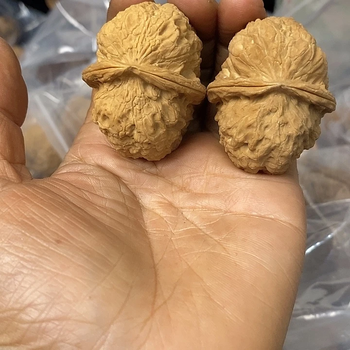 核桃云南铁核桃基地90