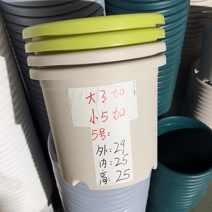 四季5#口径29灰白10个无托