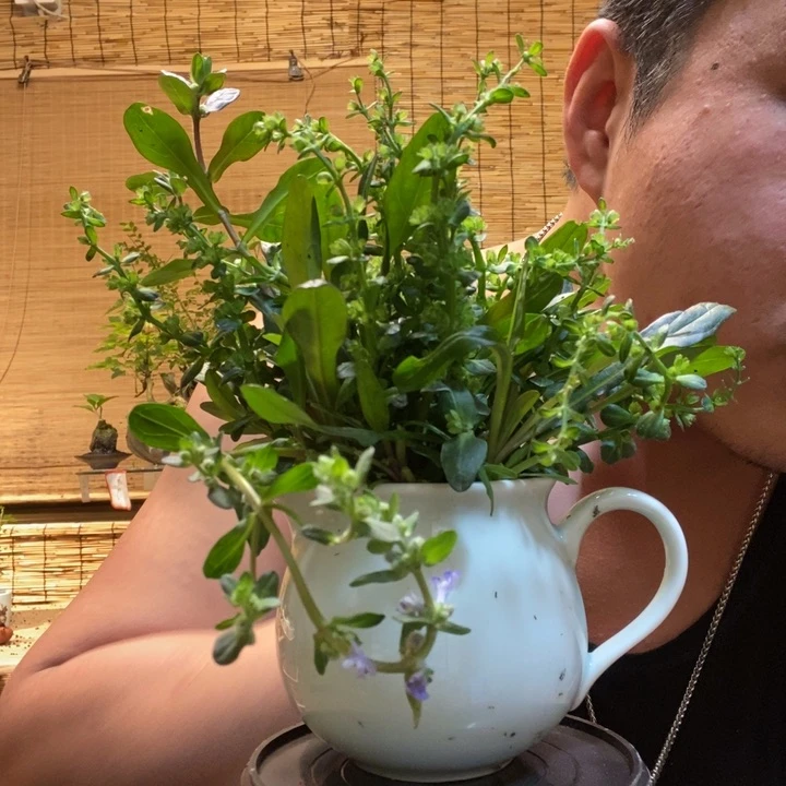 一物一拍所见即所得673