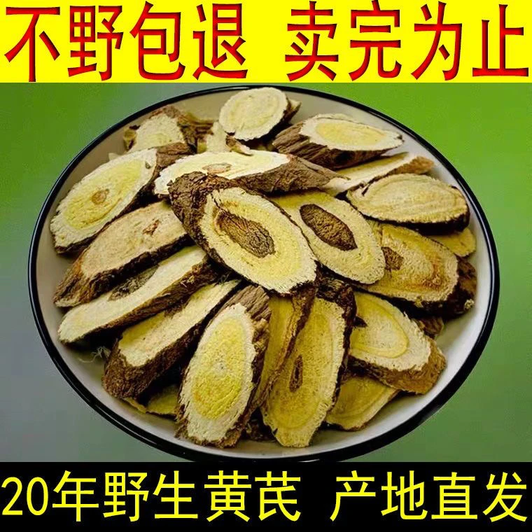 野！长白山黄芪 现场切片 新货 年份高营养高