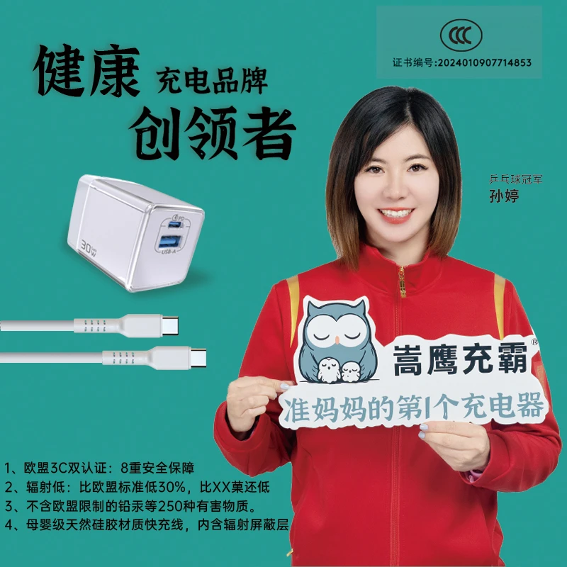 嵩鹰充霸小冰墩30W国家3c认证适用于苹果iPhone16p充电器快充套装