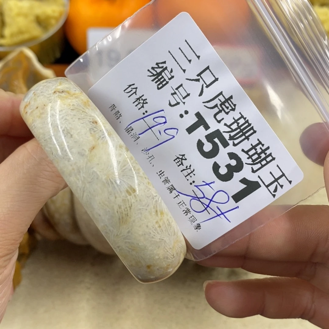 硅化珊瑚（珊瑚玉）1未镶嵌晴*