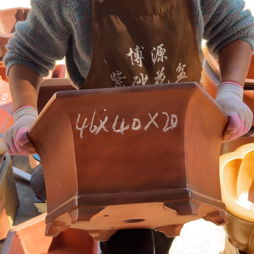 花盆紫砂盆景艺术