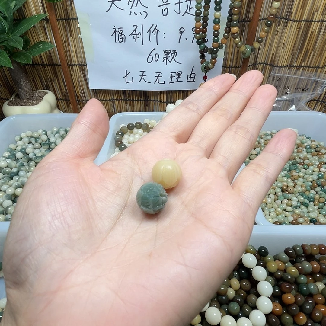 吊坠菩提根/象牙果