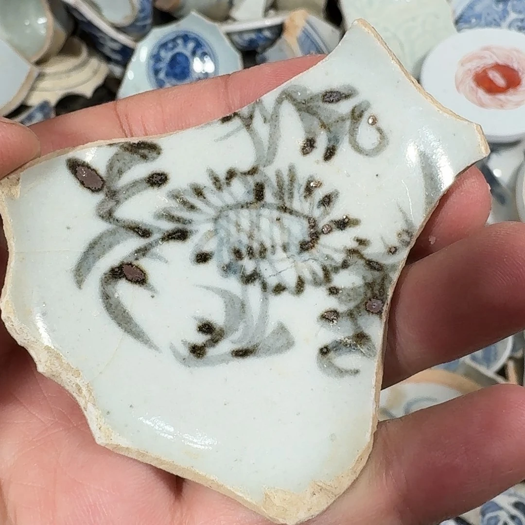 瓷片瓷片标本，顺丰包邮
