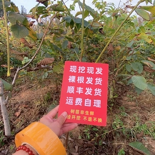 A***发吊坠文玩核桃文山磨盘各一颗