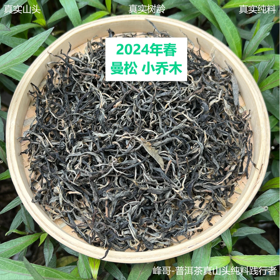 【峰哥保真】曼松王子山纯料 小乔木 2024年春 普洱生茶 100克