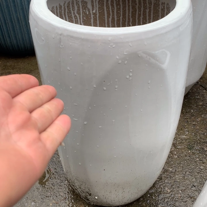 花盆里的小猫咪们都好可爱啊哈哈哈