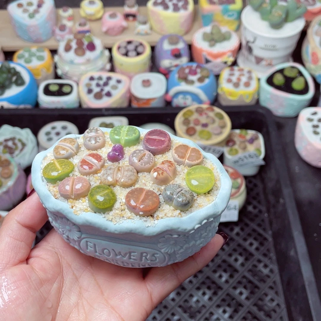 w5166 -零下地区拍保温箱-15支持寄养