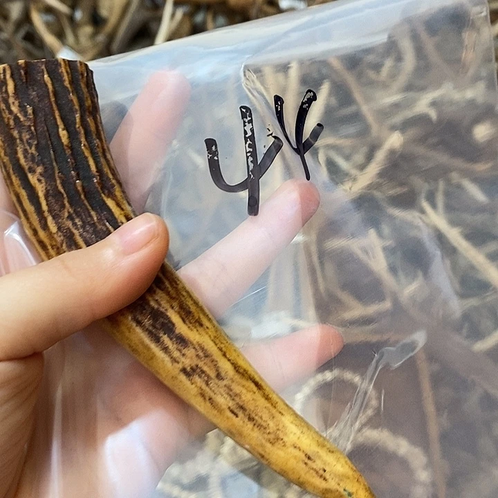 棍***郎石英石非金属鹿角鹿角