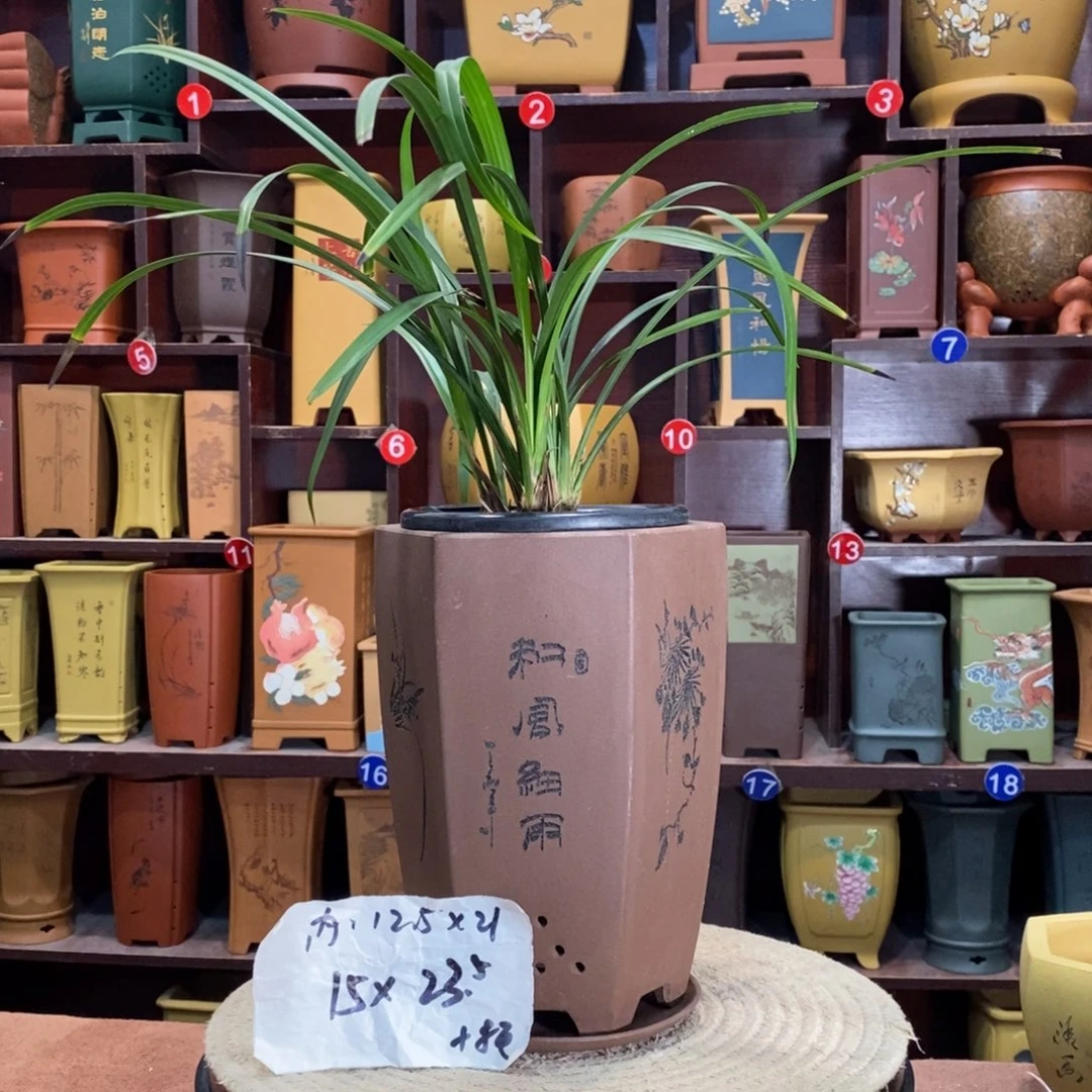 紫砂花盆紫砂花盆