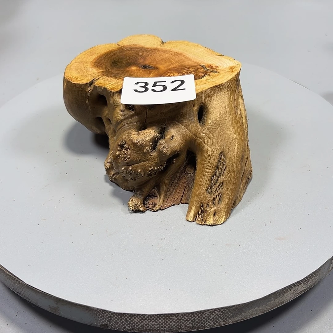 大果紫檀（缅甸花梨）陳*