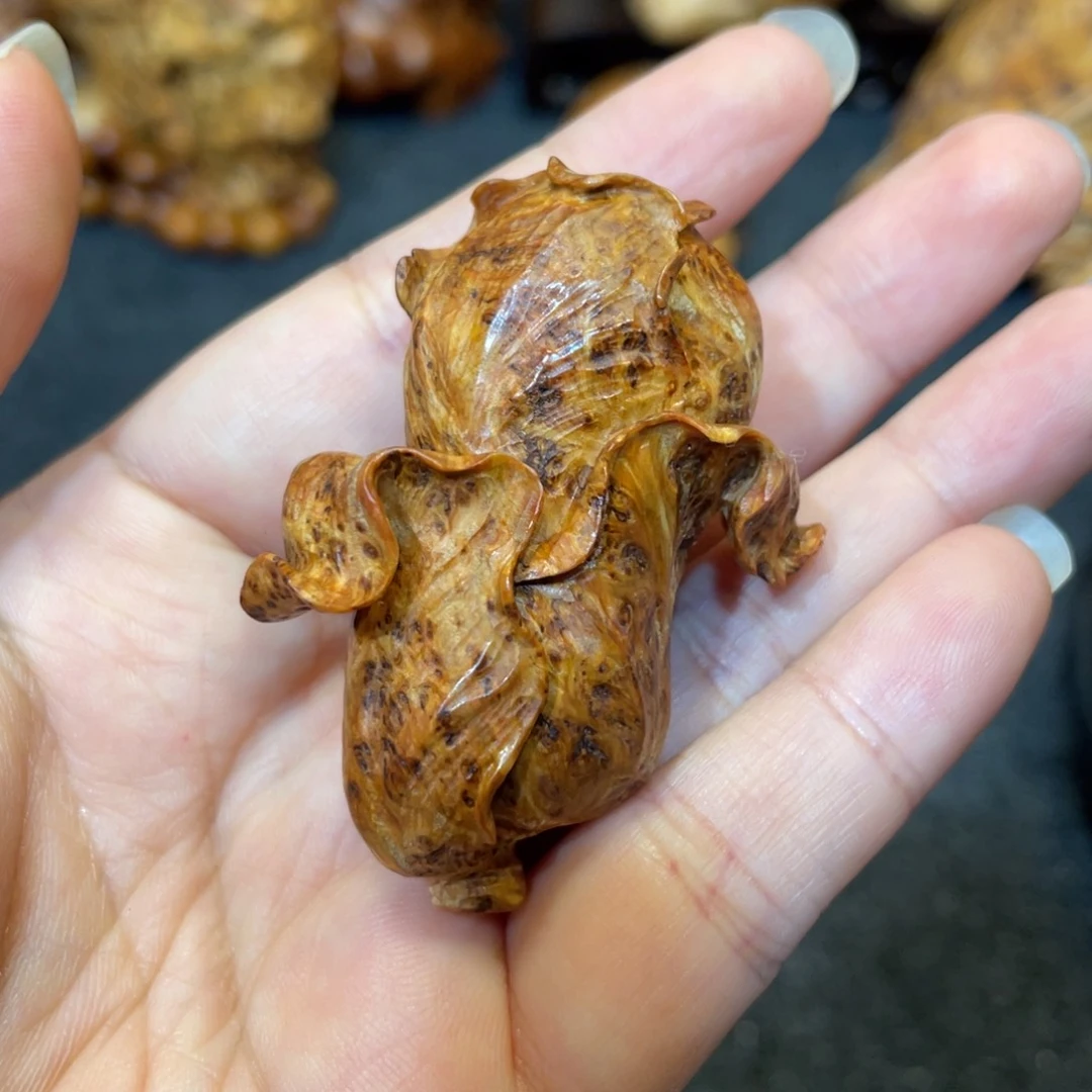 柏木（崖柏）太行精品陈化蚂蚁腿白菜