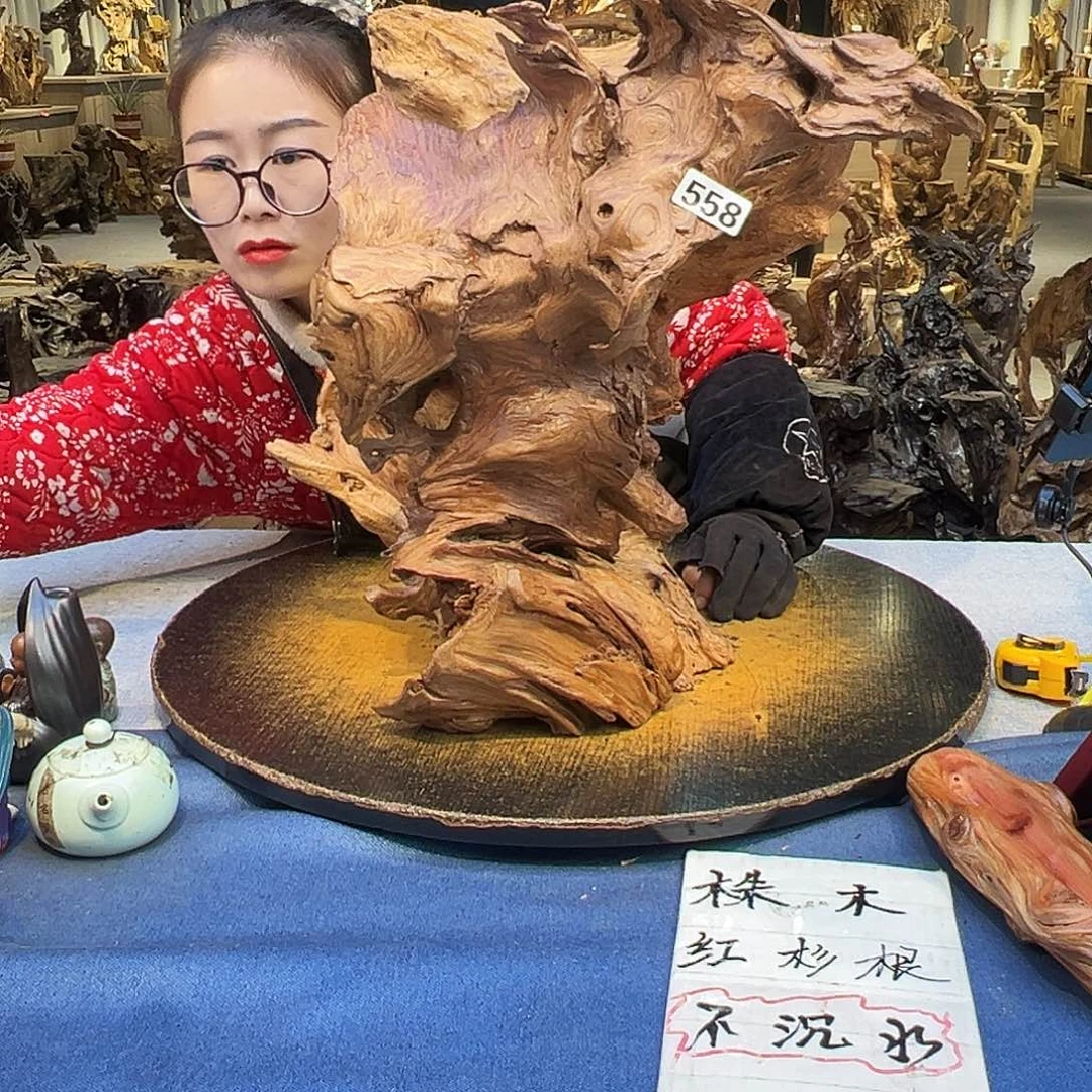 开****木558/2 bcvvbbnjnnnm