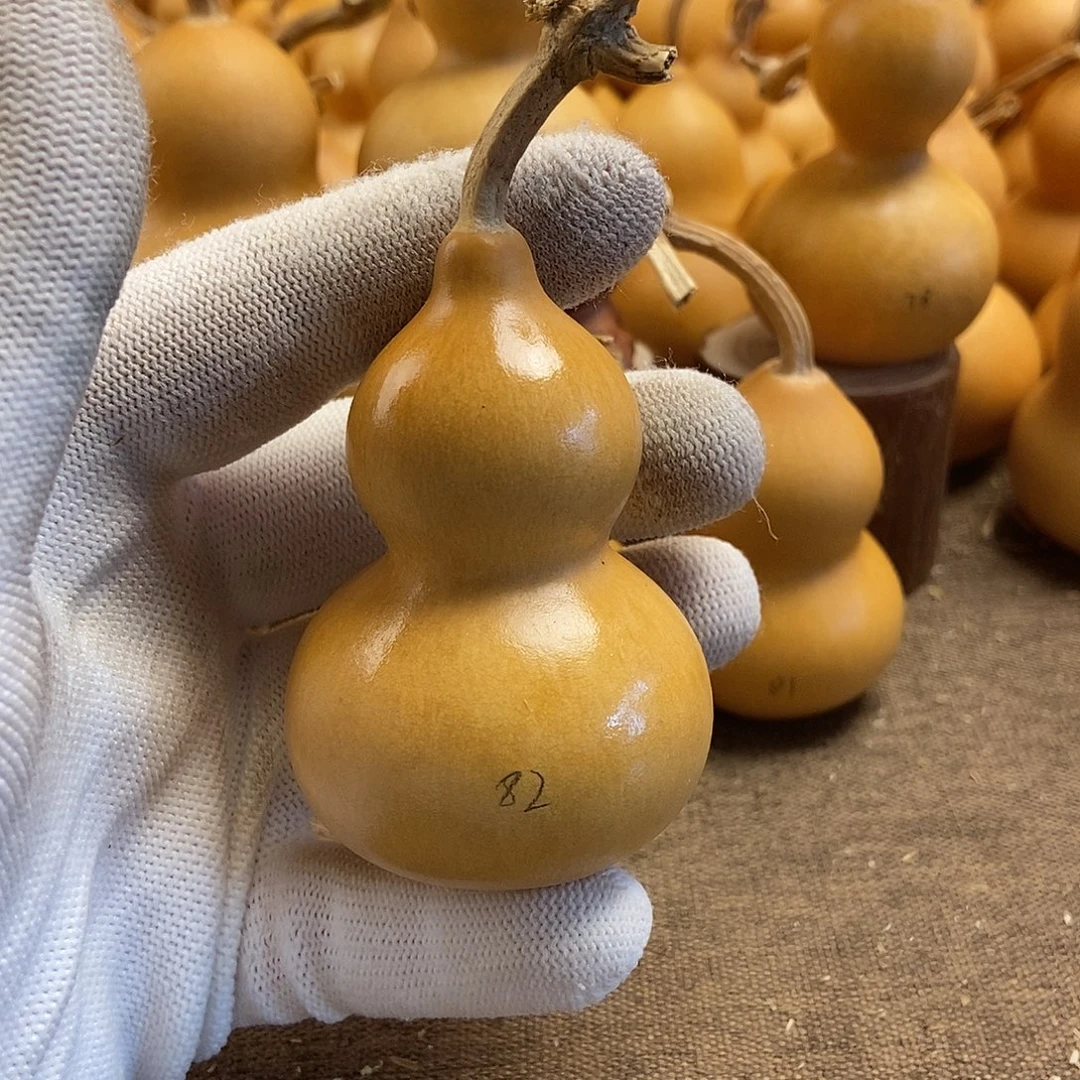 文玩葫芦 完美主义者 慎拍82