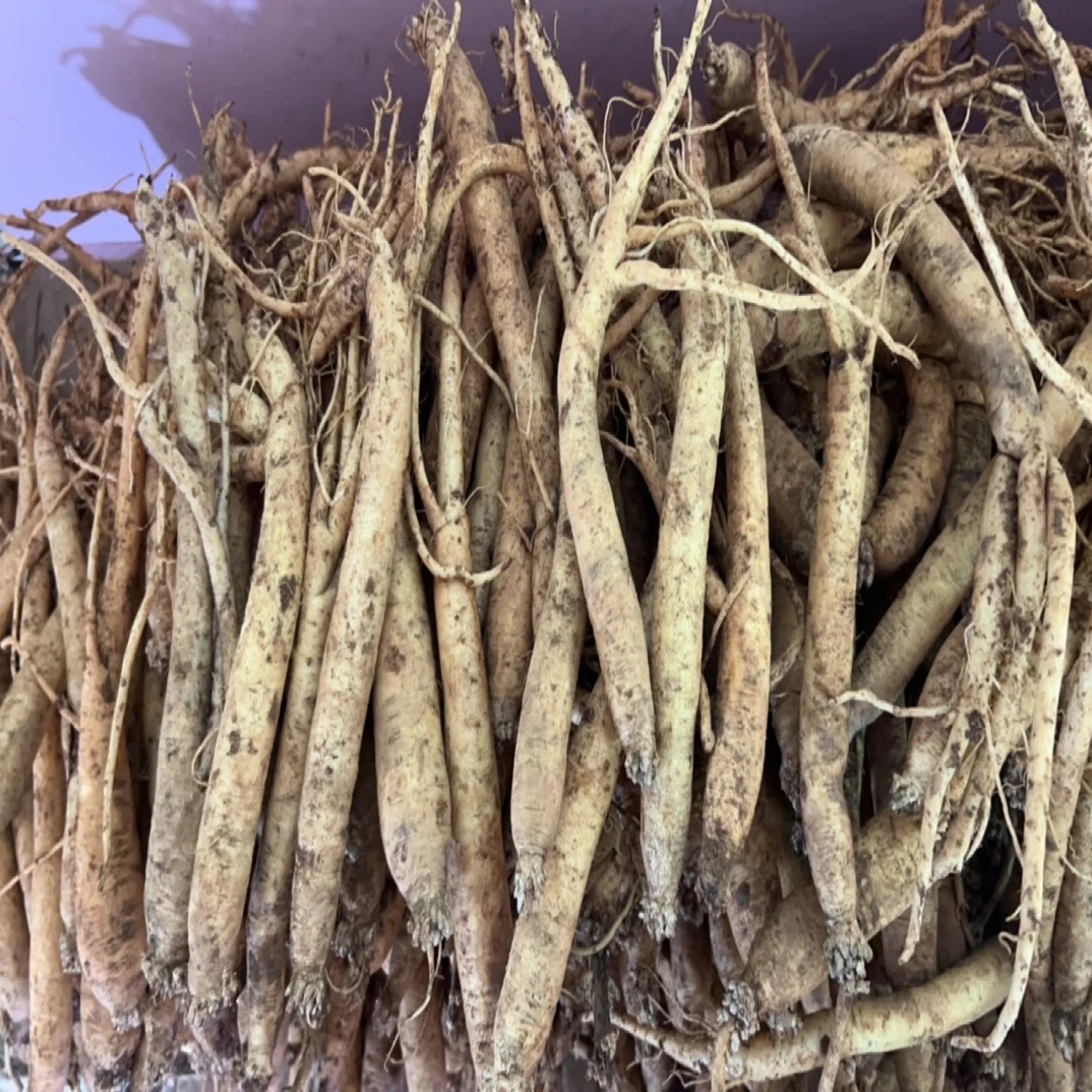 贵州新鲜党参特产山货煲汤滋补佳品