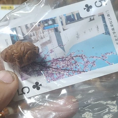 橄榄核手串/手链落**烟橄榄核