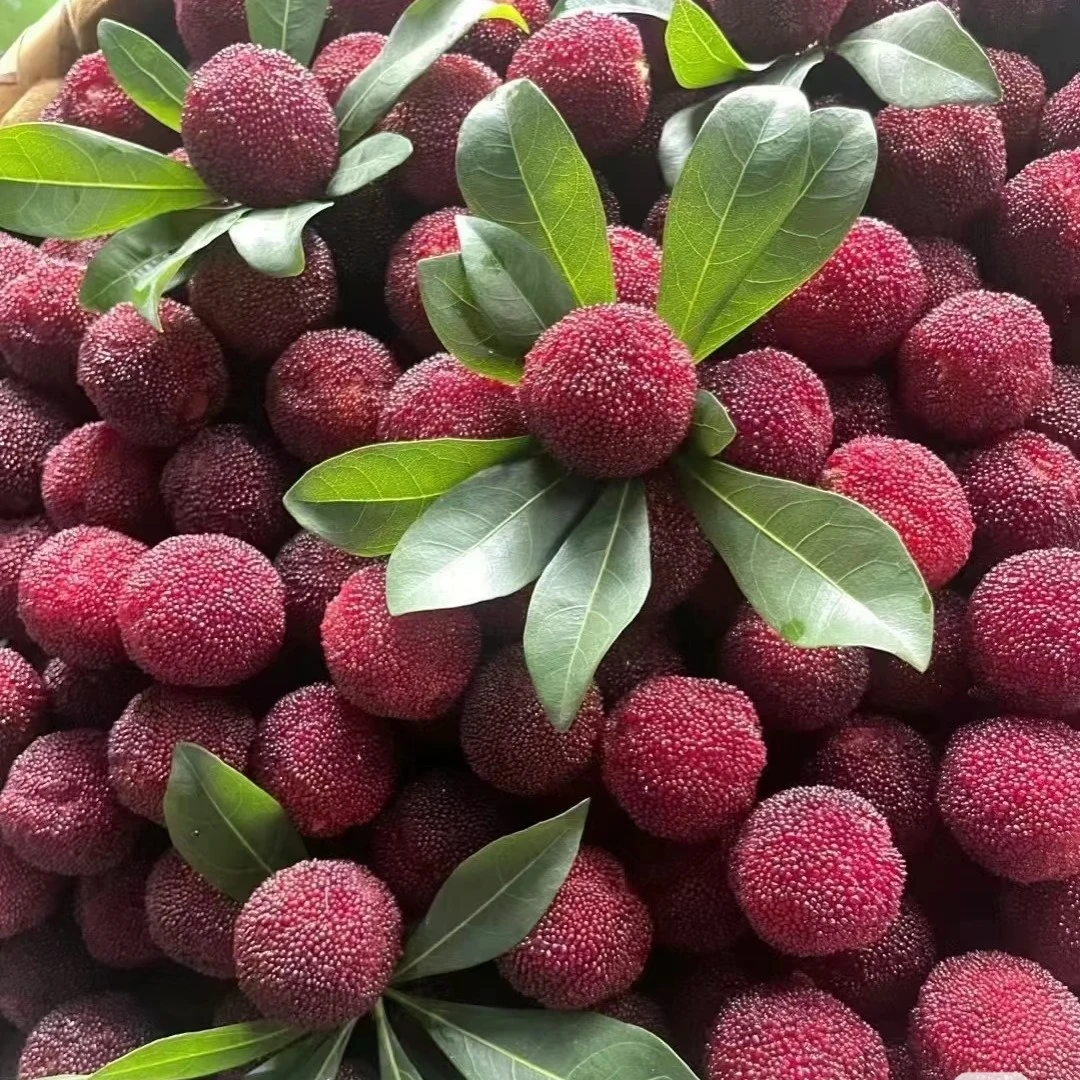 东奎杨梅（2斤）