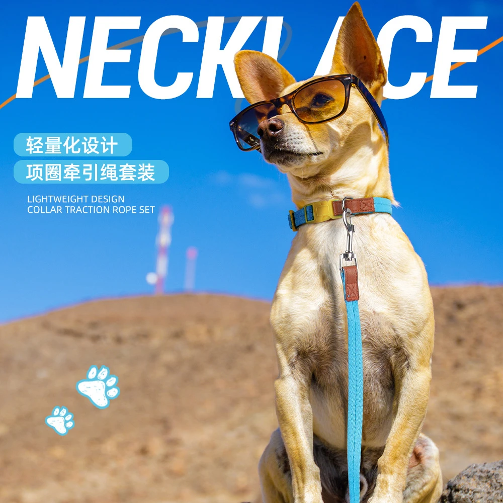 宠物项圈防挣脱牵引狗项圈中小大型犬专用训练狗项圈防勒脖牵引绳