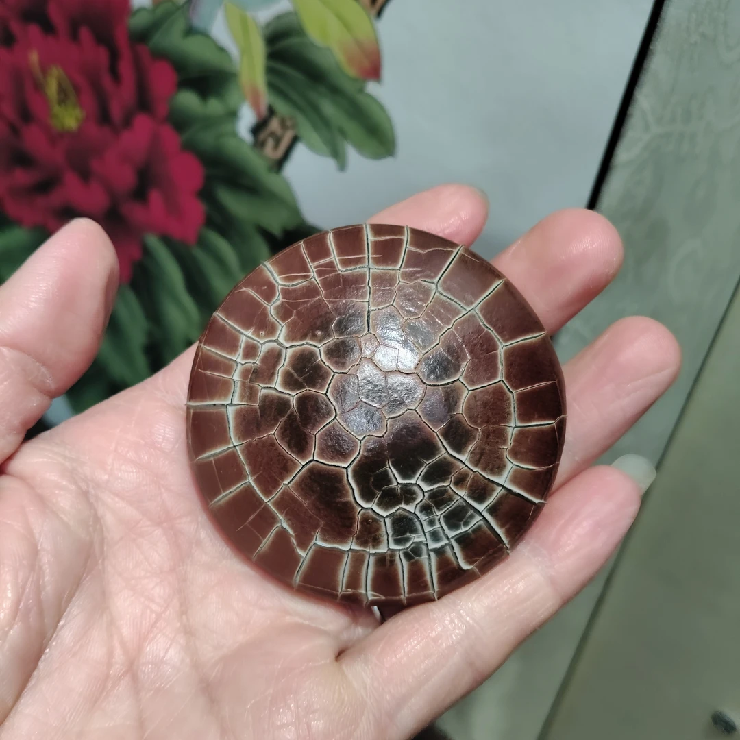 原皮原色精品龟纹石，产自湖南郴州，精美摆件