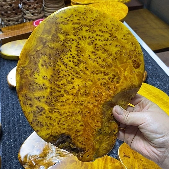 焦***子香杉干泡干泡干泡