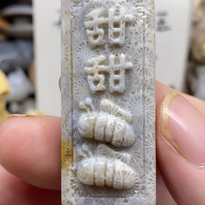 硅化珊瑚（珊瑚玉）未镶嵌颈饰