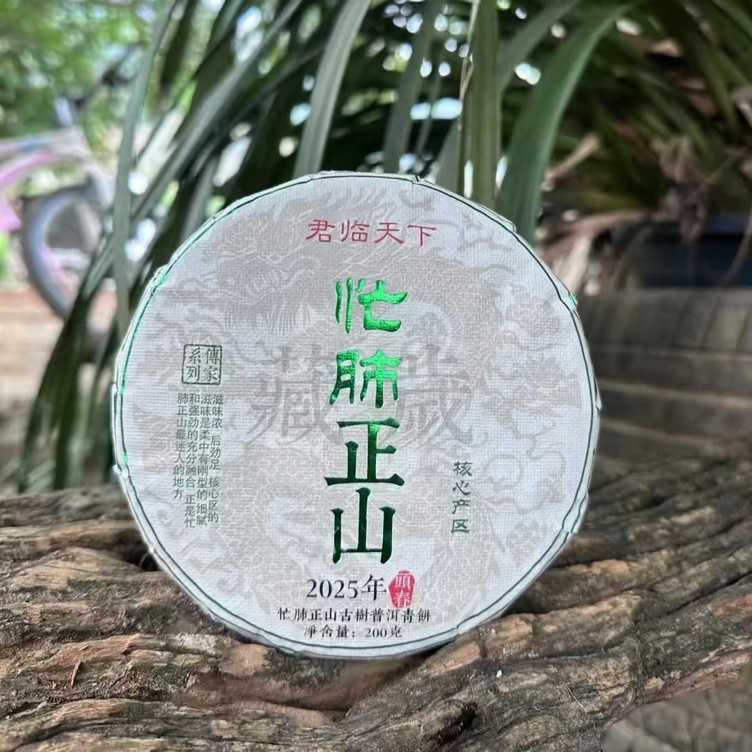2025年忙肺正山核心区选株古树头春普洱生茶  200克饼茶