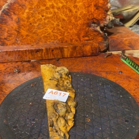 大果紫檀（缅甸花梨）