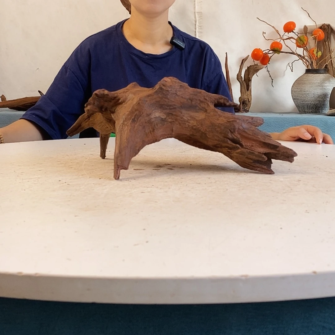 沉木造景寄居蟹景